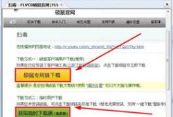 怎么下载网站上的视频,如何下载网站上的视频教程
