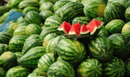 成都彩虹吃瓜爆料事件,揭秘网络舆论的风云变幻